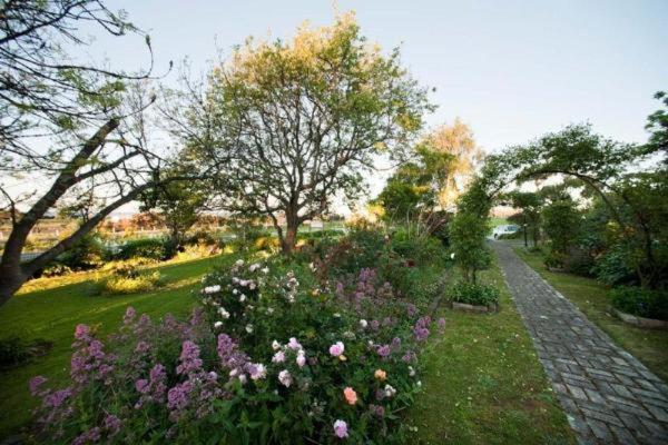 Westella Colonial B&B Accommodation Ulverstone Exteriör bild